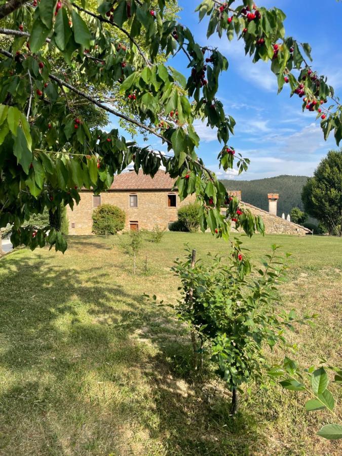 Locanda Del Viandante B&B Anghiari Eksteriør billede